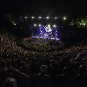 Paul Bourdrel concert de Polnareff