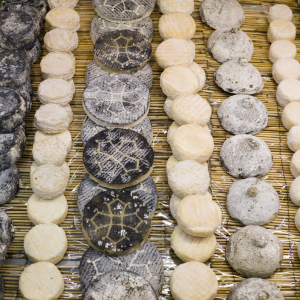 Cheeses at the Halles de Lyon Paul Bocuse © Tristan Deschamps
