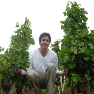 Les Vins Magnifiques