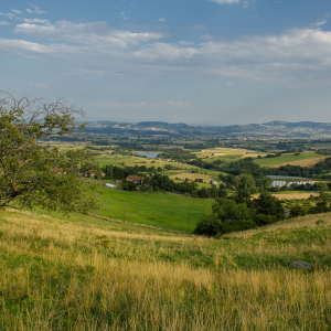 Monts du Lyonnais : Saint-Sorlin, panorama from La Madone © Mélissa Edo