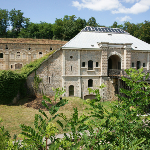 Fort du Bruissin