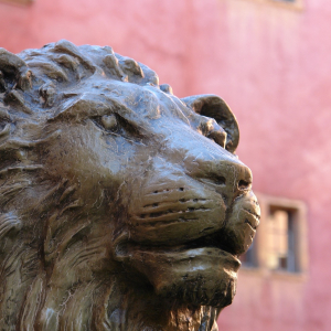 A lion statue in the garden of the Maison des Avocats, in Vieux-Lyon © Laurent Berthier