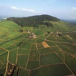 Mont Brouilly Franck Lechenet Inter Beaujolais