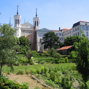 Fourvière gardens 