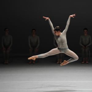 Forsythe 2012 © Jaime Roque de la Cruz