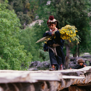 Spring festival in the Rumbur Valley / Musée des Confluences © Hervé Nègre