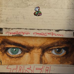 Street art in Lyon - LV