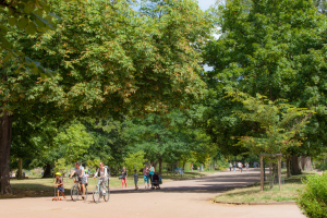 Passants et cyclistes au Parc de la T&ecirc;te d'Or