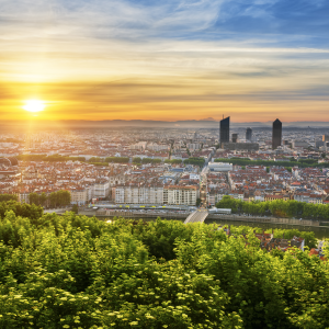 Prochasson Frédéric - Shutterstock