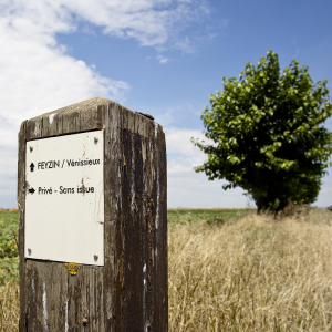 Plateau des Grandes terres - www-b-rob-com