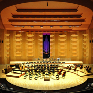 Auditorium - Lyon - Niko RODAMEL