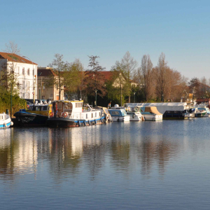 Roanne