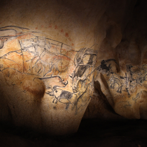 le-panneau-des-lions©Patrick-Aventurier