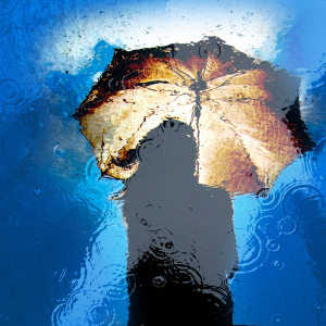 Il pleut ! © 3618866 - adamtepl / Pixabay