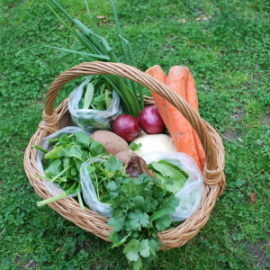 Panier de légumes frais © Judith Bogdan /Pixabay